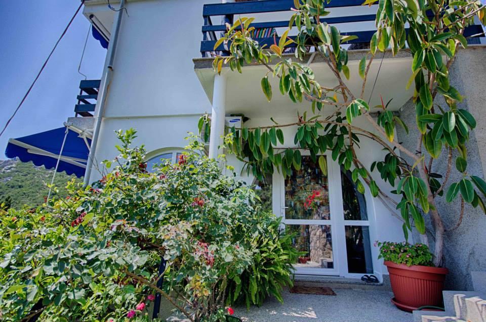 Villa Blue Dreams بار المظهر الخارجي الصورة